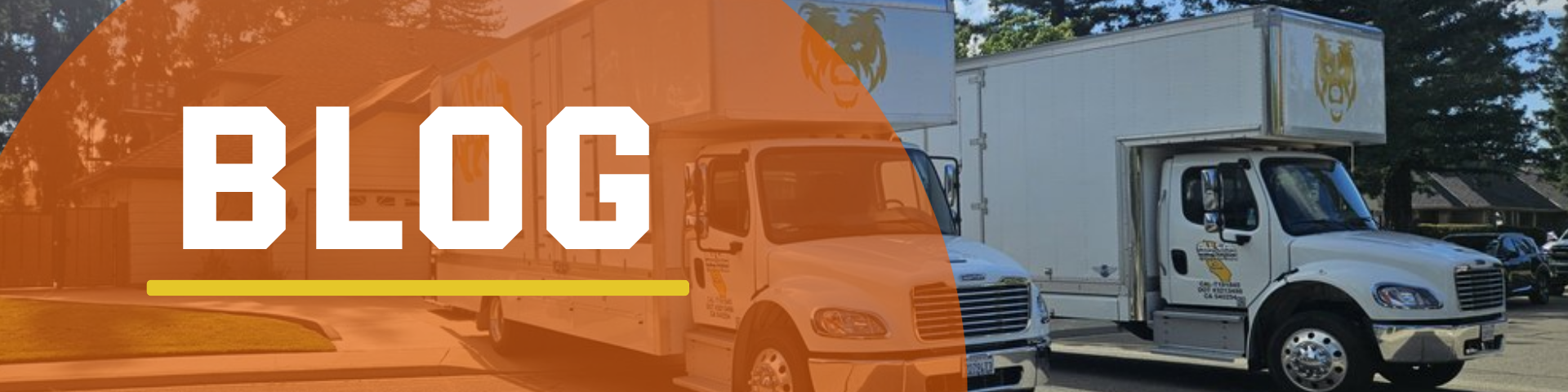Blog - All Cal Moving